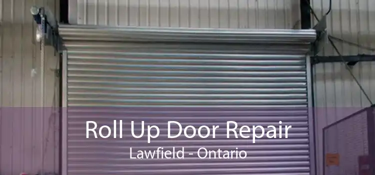 Roll Up Door Repair Lawfield - Ontario