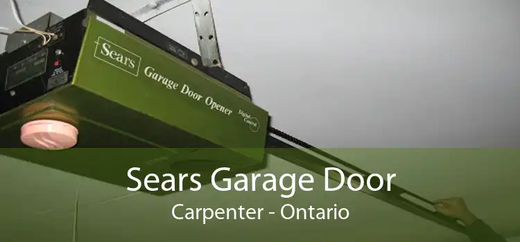 Sears Garage Door Carpenter - Ontario